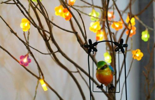 Anemona Apartment - Foto 17