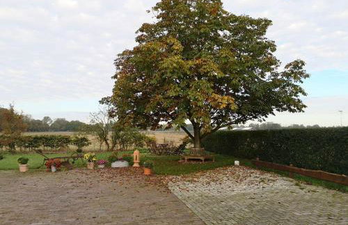 Gartenwohnung - Foto 10