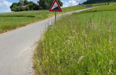 Haus mit Geschichte in Mähring - Foto 24