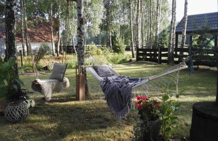 Siedlisko Gruszki Puszcza Białowieska - Foto 17