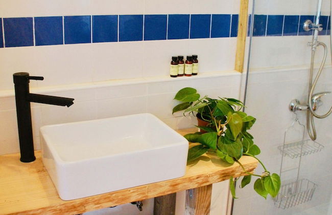 João Jungle - Foto 39