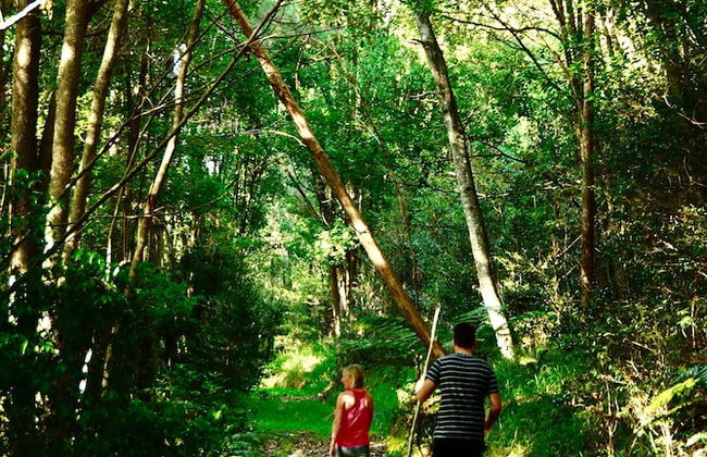 La Rocher Eco Retreat - Foto 61