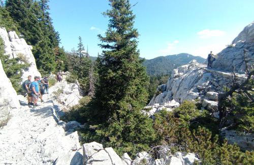 Kuća za odmor Dangubica - Photo 20