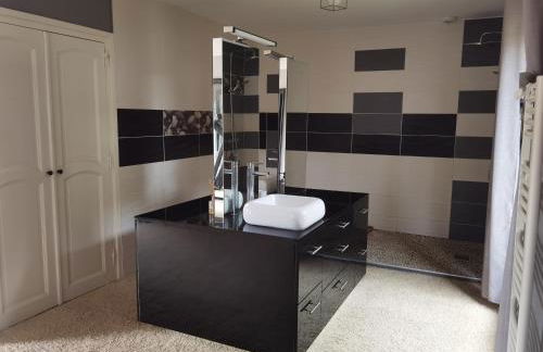 Villa avec piscine à 10 min du circuit des 24h du Mans - Foto 18