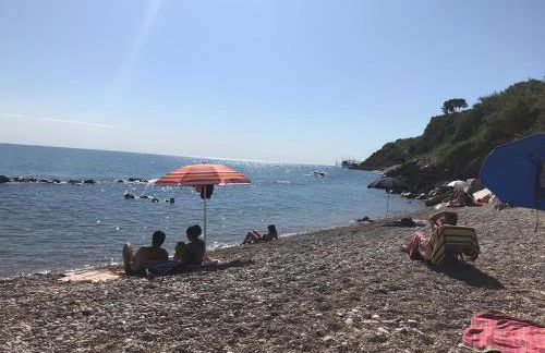 Tra gli ulivi - Foto 24