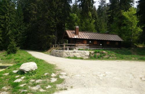 Mezonet Almberg Apartmany JaJ - Foto 20