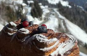 La Perle des Alpes C10 Apart.4* #Yolo Alp Home - Foto 23