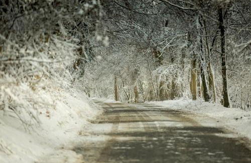 The Organic Cotswolds Shepherds Hut - Photo 58