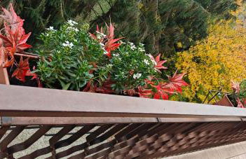 Oasi Verde - Foto 14