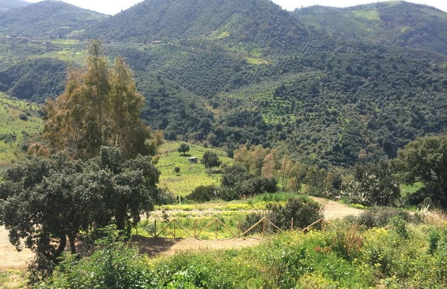 Agriturismo Mama Lina - Photo 28