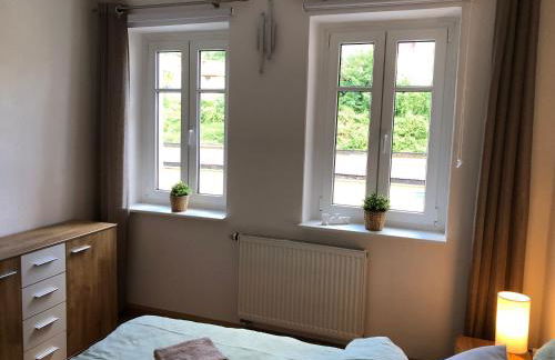 Sandstein-Ferien, FeWo "Biela", gemütlich, zentral, Terrasse, familienfreundlich - Foto 9