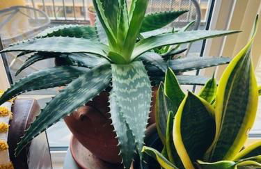 Cosy flat in New Malden, London - Foto 13