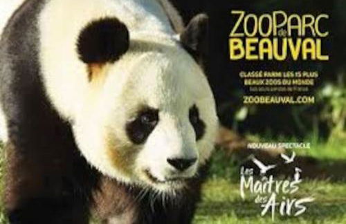 Maison de ville 3 chambres 3 salles d'eau parking 2 places - Foto 32