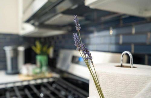 80-3 3BR Boston - Charming Apt near Dorchester Center - Foto 36