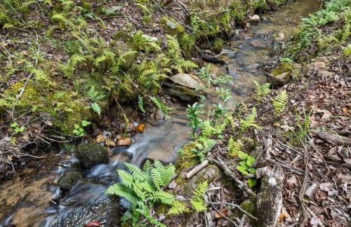 15 min to Town, Creekside, Sauna, Hot Tub, Fire Pit - Foto 23