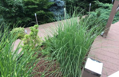 Ferienwohnung 1 Festungsblick - Foto 24