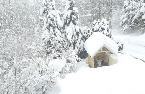 Country house on the Dachsberg - Foto 27