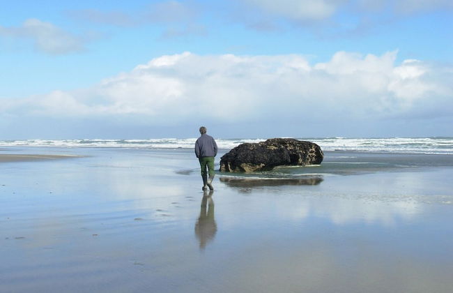 Wetland View Park - Photo 16