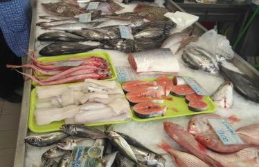 Appartement Quinta de Palames Sesimbra - Foto 33