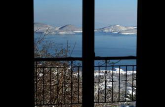 Anthemion - Photo 13