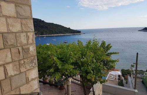 Apartments Villa Hansal - Photo 28