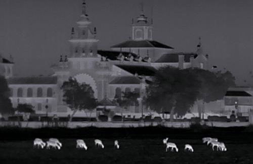 Casa SYANOA, playas de Doñana - Foto 23