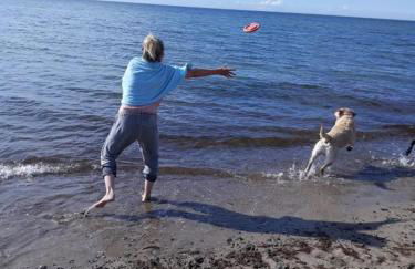 Hof am Meer "Seemöwe" - Foto 39