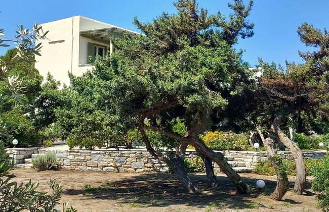 Kedros Villas - Photo 32