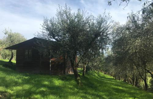Agriturismo Podere I' Caldino - Foto 7