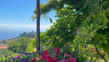 La Casa Dei Nonni - Foto 2, Garden view