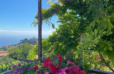 La Casa Dei Nonni - Foto 2