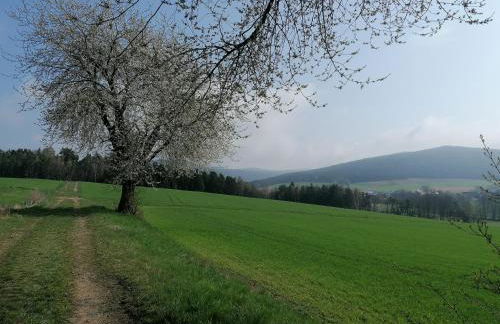 Piece of Greece - Foto 49