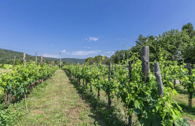 Holiday Home, Bucine With Pool - Foto 41