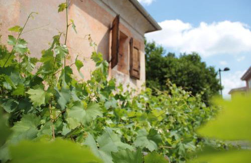 Alla vigna - Foto 20