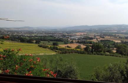 AGRIFOGLIO - Photo 27