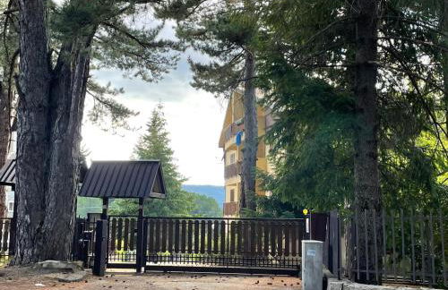 NadSan Mountain House - Photo 32