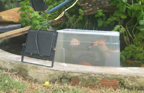 Casa no Condomínio Green Hills 4 quartos - Foto 34