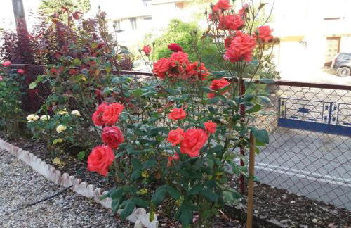 paysmillereves - Foto 26