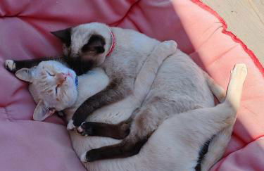 Herdade Monte Novo Do Pocinho - Foto 24