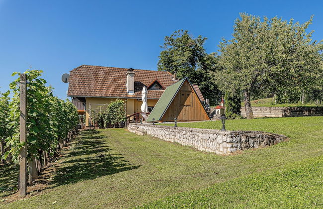 Vineyard Cottage Hocevar With Sauna - Photo 1