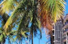 Cobertura Duplex na Praia do Forte com Piscina Privativa, Churrasqueira, 2 Vagas, Melhor Trecho - Foto 23