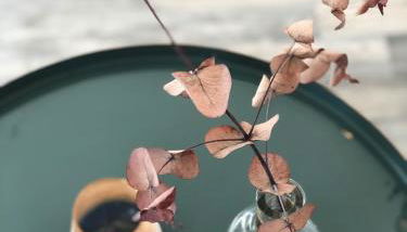 Sweet Home Tholey - Foto 5