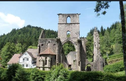 Badischer Neubau-Ruhe-Kunst-Natur - Foto 67