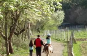 Mira Moleta bienvenidos a Canfranc - Photo 17