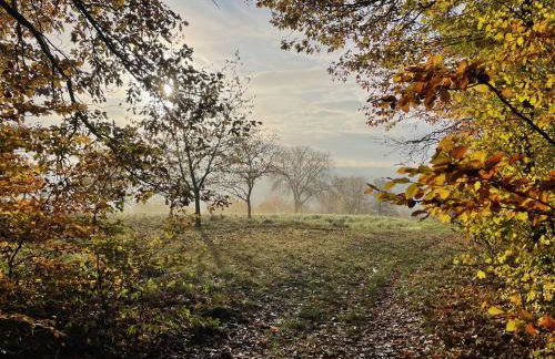 NEU Feinzeit Chalet mit privater Sauna - Foto 52