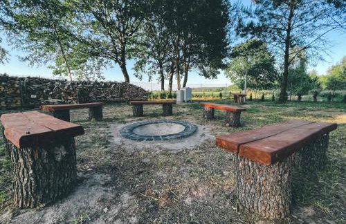 U Progu Lasu - Foto 22