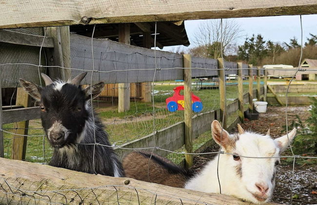 Vintage Holiday Home in Struer near Open Field - Foto 26