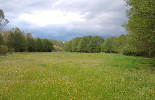 La Forqueta y El Fontanal - Foto 76