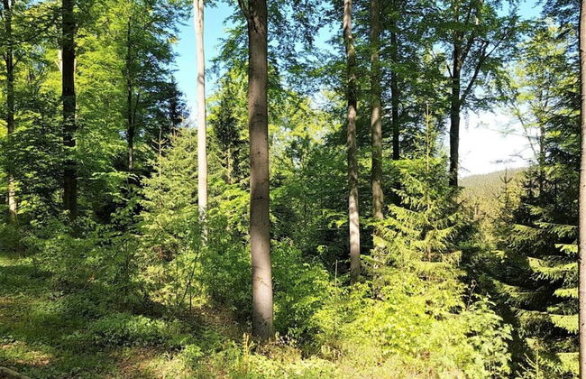 Gutsweg One - Apartment 3 - Foto 12