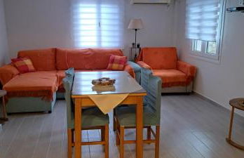 Ανεμώνη Αράχωβα - Foto 25